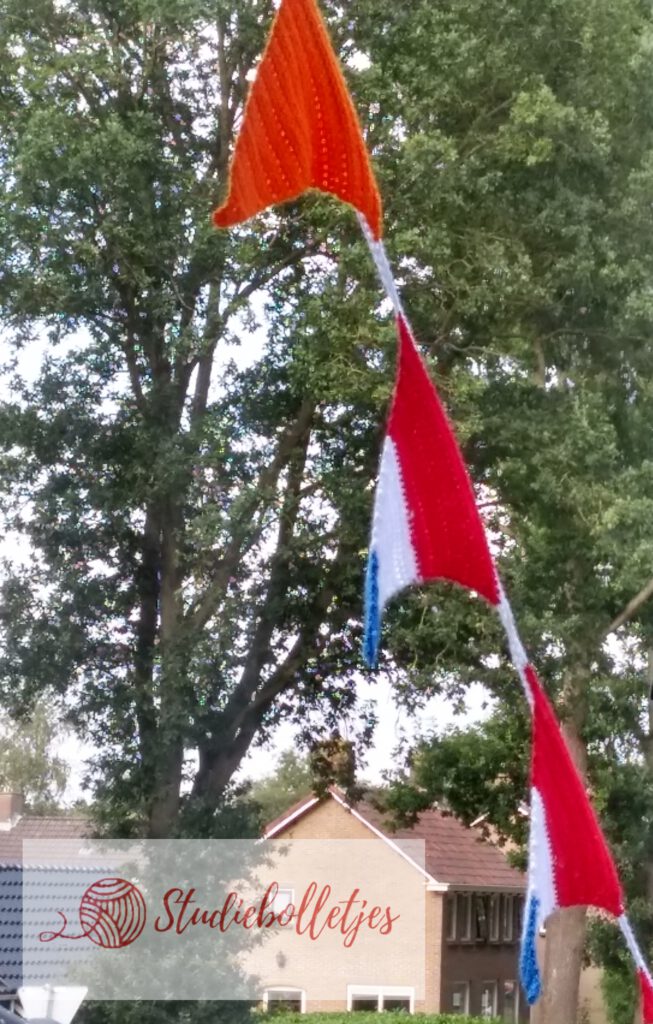 Vlaggenlijn vlaggetjes EK Koningdag voor het raam met bomen en huizen op de achtergrond - Studiebolletje